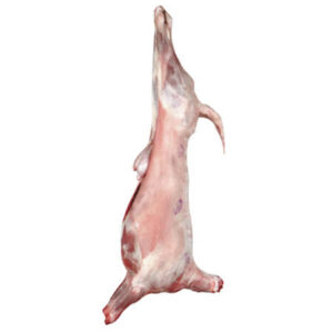 Kuzu (Kıvırcık) Karkas